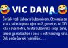 VIC DANA: Pada i razmišlja