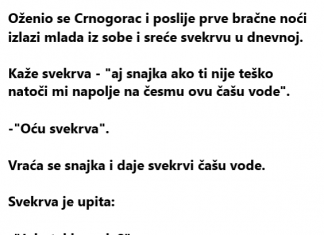 VIC DANA: Snajka i svekrva