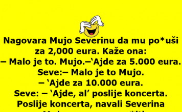 VIC DANA: Nagovara Mujo Severinu