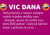 VIC DANA: Antička vaza