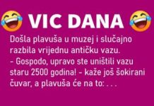VIC DANA: Antička vaza