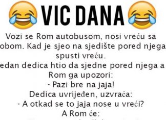 VIC DANA: Vozi se Rom autobusom