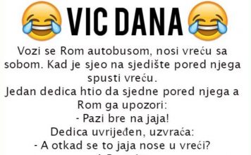 VIC DANA: Vozi se Rom autobusom