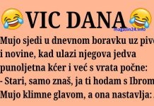 VIC DANA: Ona bi se udala