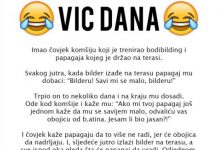 VIC DANA: Bilder i papagaj