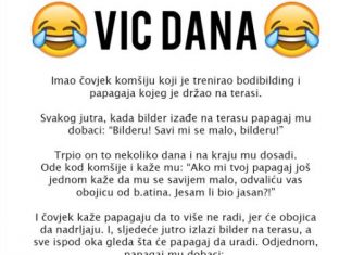 VIC DANA: Bilder i papagaj
