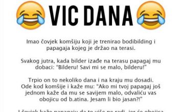 VIC DANA: Bilder i papagaj