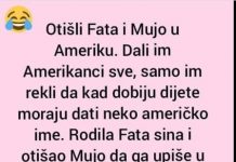 VIC DANA: Fata i Mujo u Americi