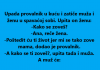 VIC DANA: Provalnik ulazi u kuću