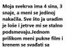 “Moja svekrva ima 4 sina, 3 snahe, a meni se nakačila. ..”