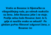 VIC DANA: Vratio se Bosanac iz Njemačke