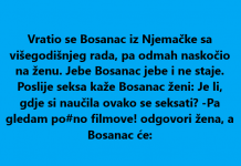 VIC DANA: Vratio se Bosanac iz Njemačke