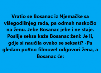 VIC DANA: Vratio se Bosanac iz Njemačke