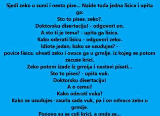 VIC DANA: Zeko u šumi