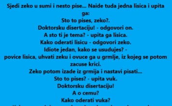 VIC DANA: Zeko u šumi