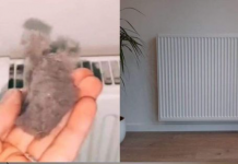 EVO KAKO DA OČISTITE RADIJATORE ZA MINUTU: Bolju foru niste vidjeli, kako se niko ranije nije sjetio ovoga?!