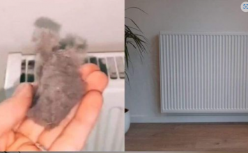 EVO KAKO DA OČISTITE RADIJATORE ZA MINUTU: Bolju foru niste vidjeli, kako se niko ranije nije sjetio ovoga?!