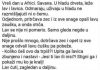 VIC DANA: Lavica i zeko