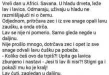 VIC DANA: Lavica i zeko