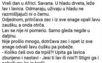 VIC DANA: Lavica i zeko