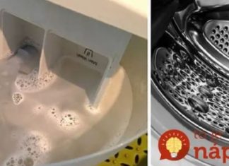 SVI HVALE SIRĆE, ALI OVO JE STO PUTA BOLJE: U porodici majstora veš mašina sam naučio kako da očistim celu veš mašinu što je brže moguće!