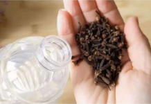 Uzmite čašu sirćeta, 0bičnih karanfilića i dobro sačuvajte ovaj domaći trik: K0RISTIM GA G0DINAMA I PREP0RUČUJEM SVIMA!