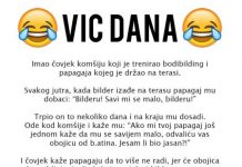 VIC DANA: Papagaj i bodibilder