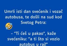 VIC DANA: Svećenik i vozač autobusa kod Svetog Petra