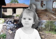 UHAPŠEN MUŠKARAC U BORU ZBOG PRETNJI RODITELJIMA DANKE ILIĆ: Pala još jedna osoba, policija upala u stan, šokirali se od onoga što su zatekli!