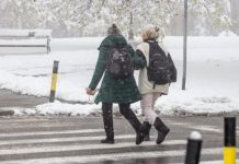 Prvi sneg će zavejati brže nego što mislimo: Čeka nas 15 ledenih dana u OVOM periodu, biće i jakih mrazeva
