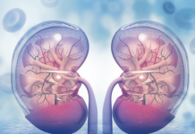 KADA SA BUBREZIMA NEŠTO NIJE U REDU, TELO ŠALJE OVE SIGNALE: 6 simptoma koje ne smete ignorisati!