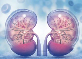 KADA SA BUBREZIMA NEŠTO NIJE U REDU, TELO ŠALJE OVE SIGNALE: 6 simptoma koje ne smete ignorisati!