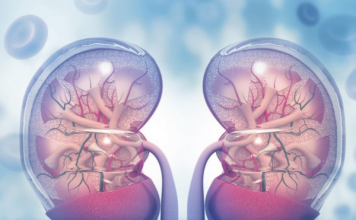 KADA SA BUBREZIMA NEŠTO NIJE U REDU, TELO ŠALJE OVE SIGNALE: 6 simptoma koje ne smete ignorisati!