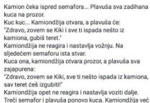 VIC DANA: Plavuša i kamiondžija