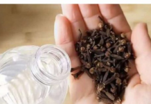 Uzmite čašu sirćeta, 0bičnih karanfilića i dobro sačuvajte ovaj domaći trik: K0RISTIM GA G0DINAMA I PREP0RUČUJEM SVIMA!