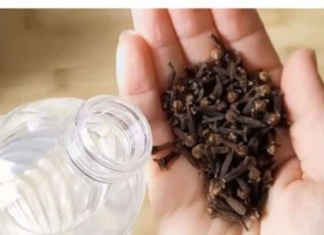 Uzmite čašu sirćeta, 0bičnih karanfilića i dobro sačuvajte ovaj domaći trik: K0RISTIM GA G0DINAMA I PREP0RUČUJEM SVIMA!