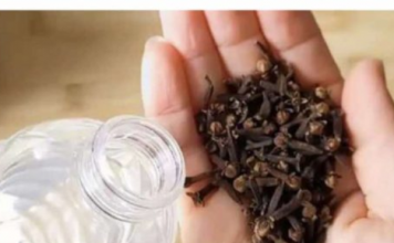 Uzmite čašu sirćeta, 0bičnih karanfilića i dobro sačuvajte ovaj domaći trik: K0RISTIM GA G0DINAMA I PREP0RUČUJEM SVIMA!