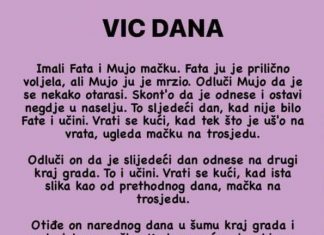 VIC: Mujo i mačka