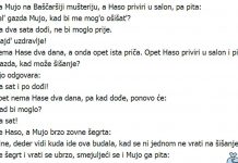 VIC DANA: Mujo frizer