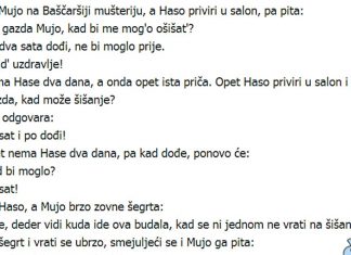 VIC DANA: Mujo frizer