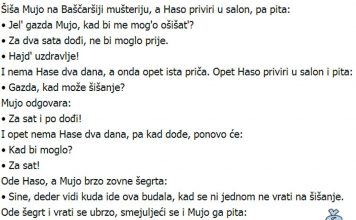 VIC DANA: Mujo frizer