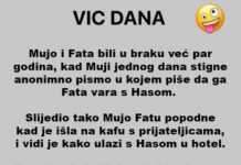 VIC DANA: Fata vara Muju