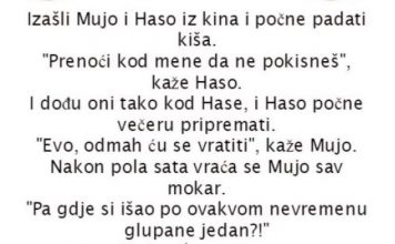 VIC DANA: Izašli Mujo i Haso iz kina