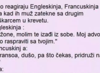 VIC DANA: Engleskinja, Francuskinja i Fata