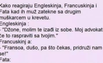 VIC DANA: Engleskinja, Francuskinja i Fata