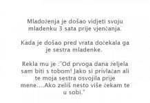 VIC DANA: Punac i mladoženja