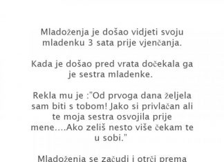 VIC DANA: Punac i mladoženja