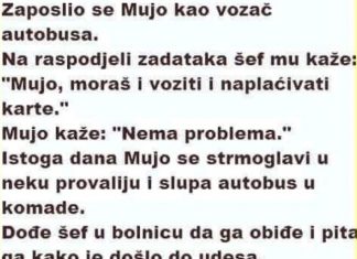 VIC DANA: Mujo vozač autobusa