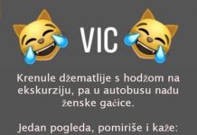 VIC DANA: HODŽA U AUTOBUSU