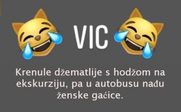 VIC DANA: HODŽA U AUTOBUSU